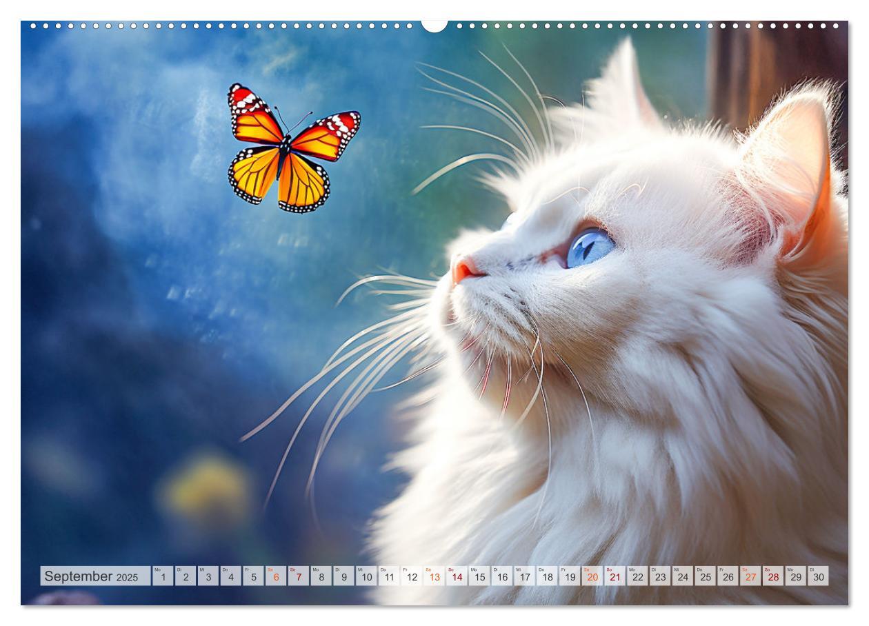 Bild: 9783383862618 | Die Katze und der Schmetterling (Wandkalender 2025 DIN A2 quer),...