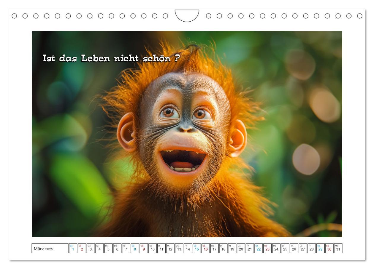 Bild: 9783457158029 | Humorvoll durch das Jahr (Wandkalender 2025 DIN A4 quer), CALVENDO...