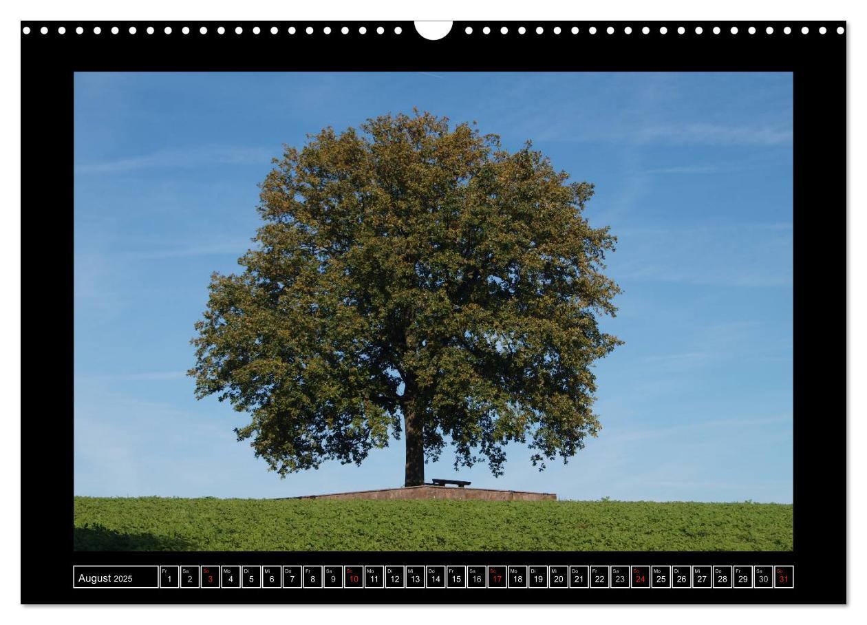 Bild: 9783435820092 | Odenwald - Landschaft sehen (Wandkalender 2025 DIN A3 quer),...