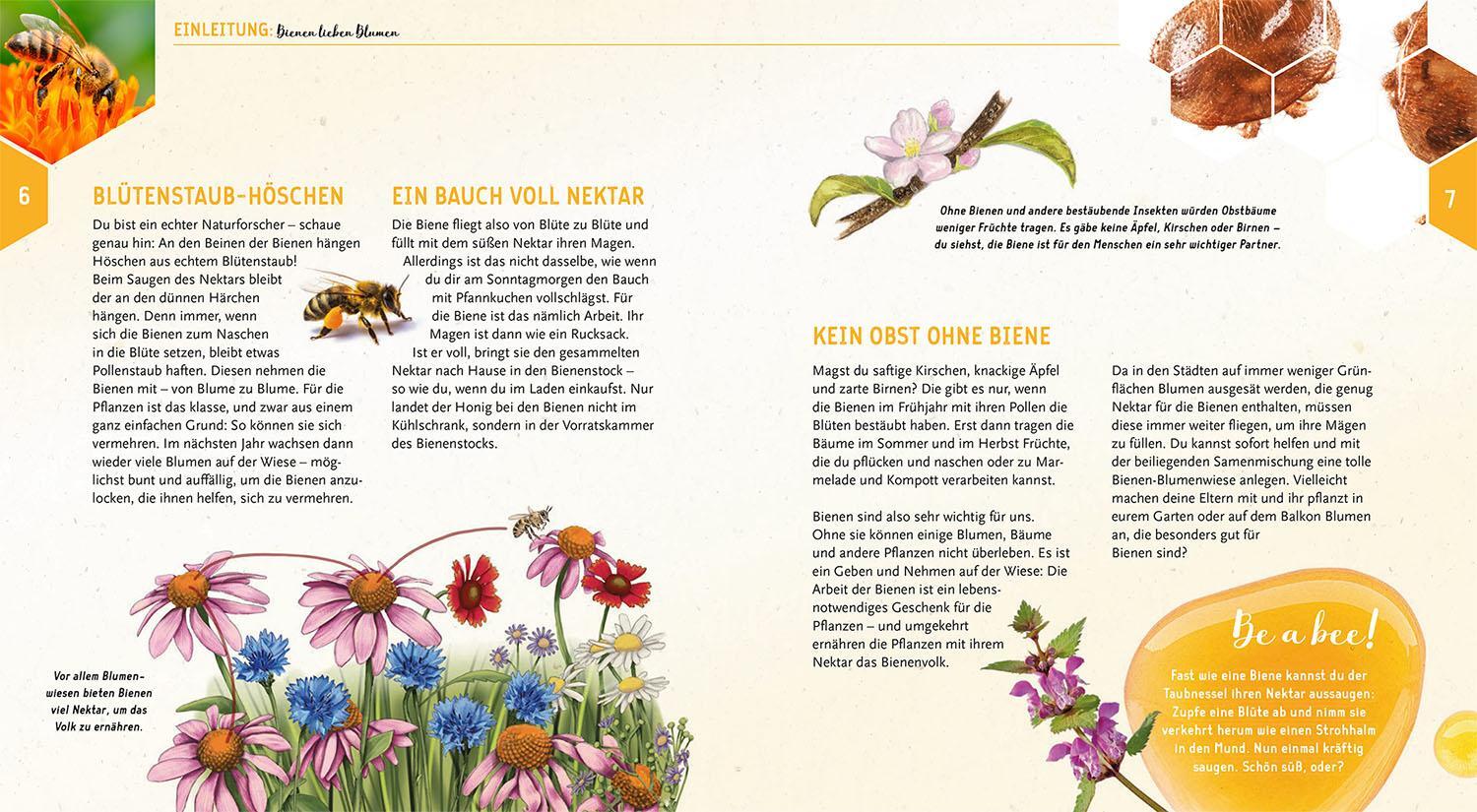 Bild: 9783440179376 | Ein Jahr mit den Bienen | Tobias Miltenberger (u. a.) | Buch | 72 S.