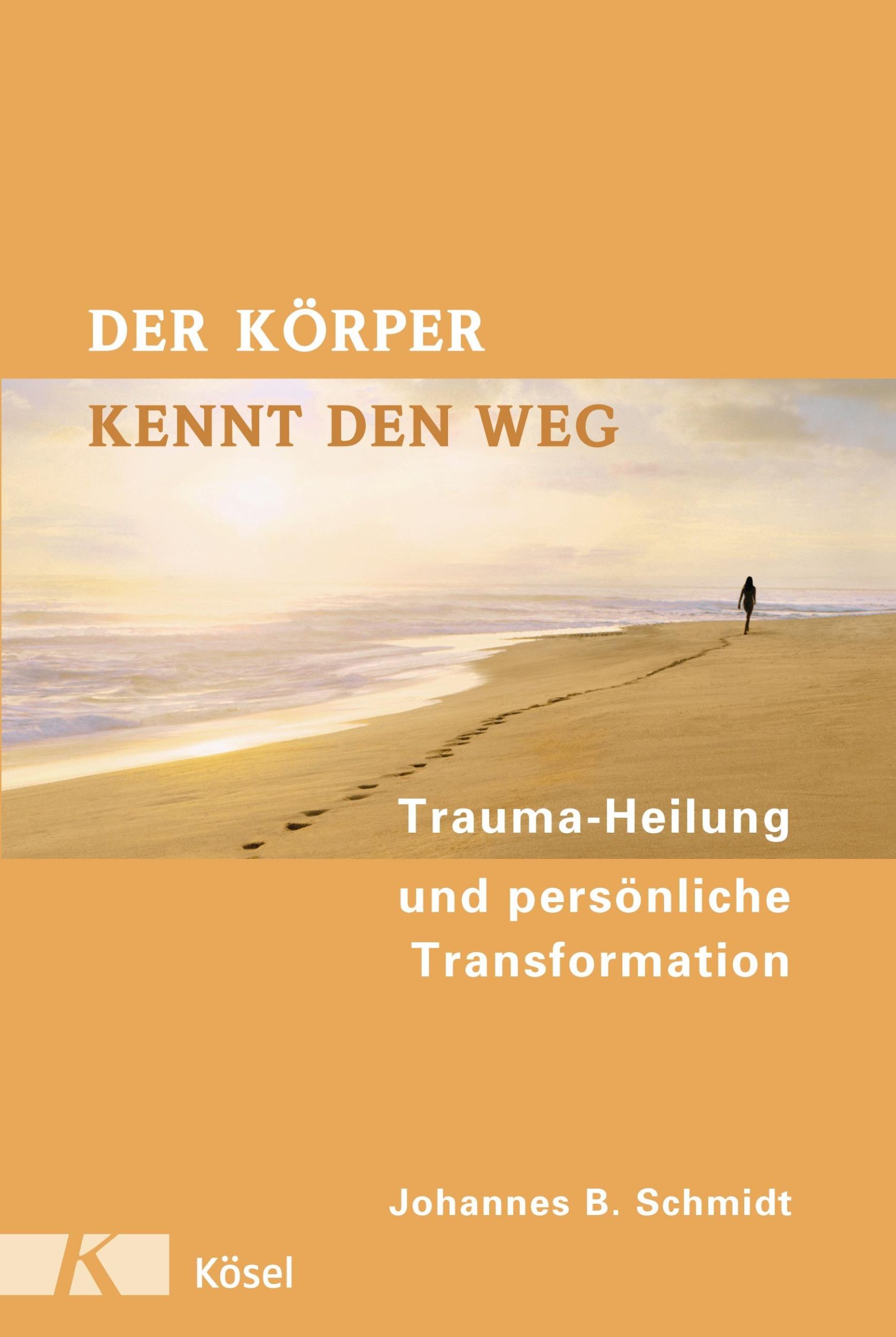 Cover: 9783466307739 | Der Körper kennt den Weg | Johannes B. Schmidt | Buch | 301 S. | 2008