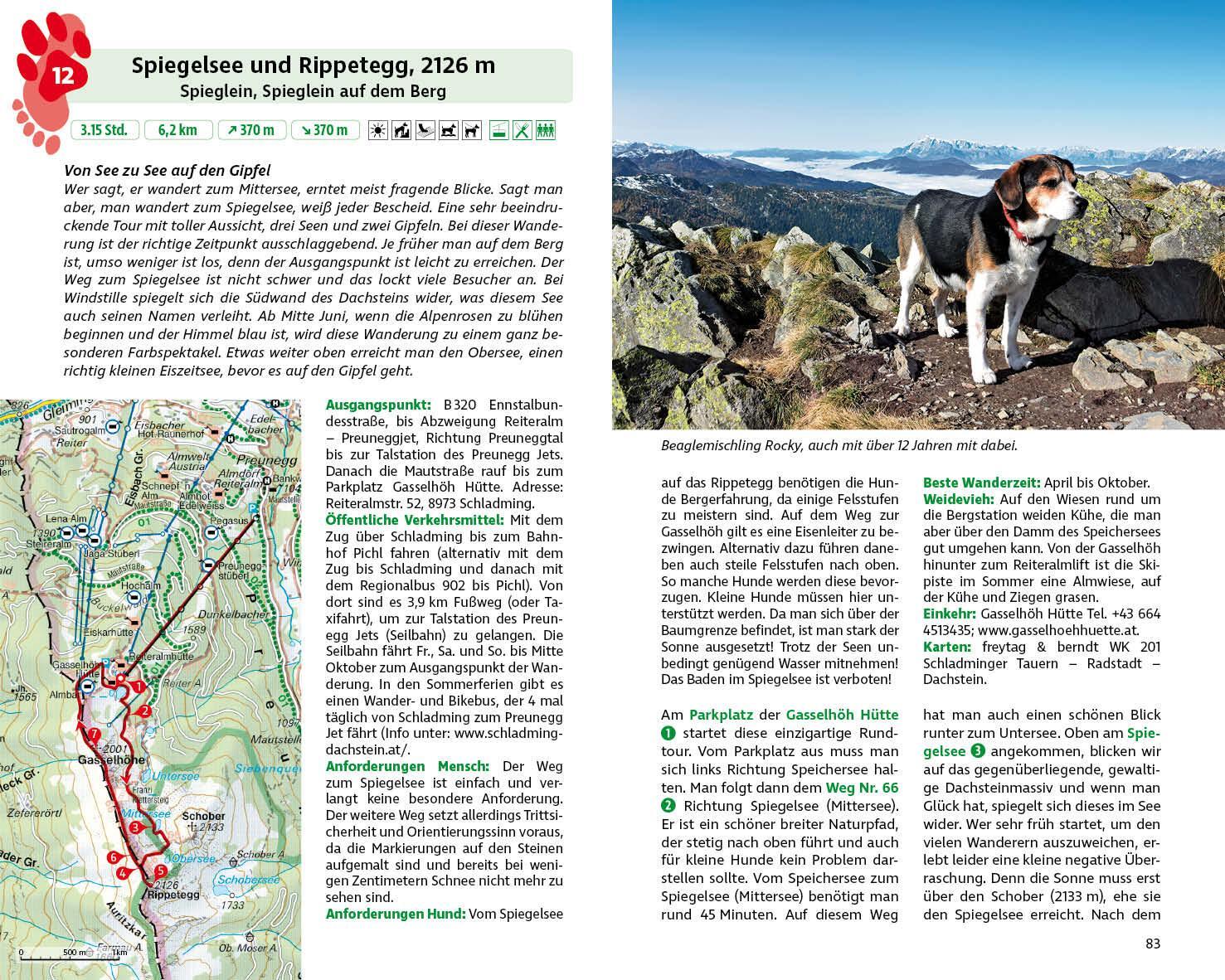 Bild: 9783763333103 | Wandern mit Hund Steiermark | René Apfelknab | Taschenbuch | 192 S.