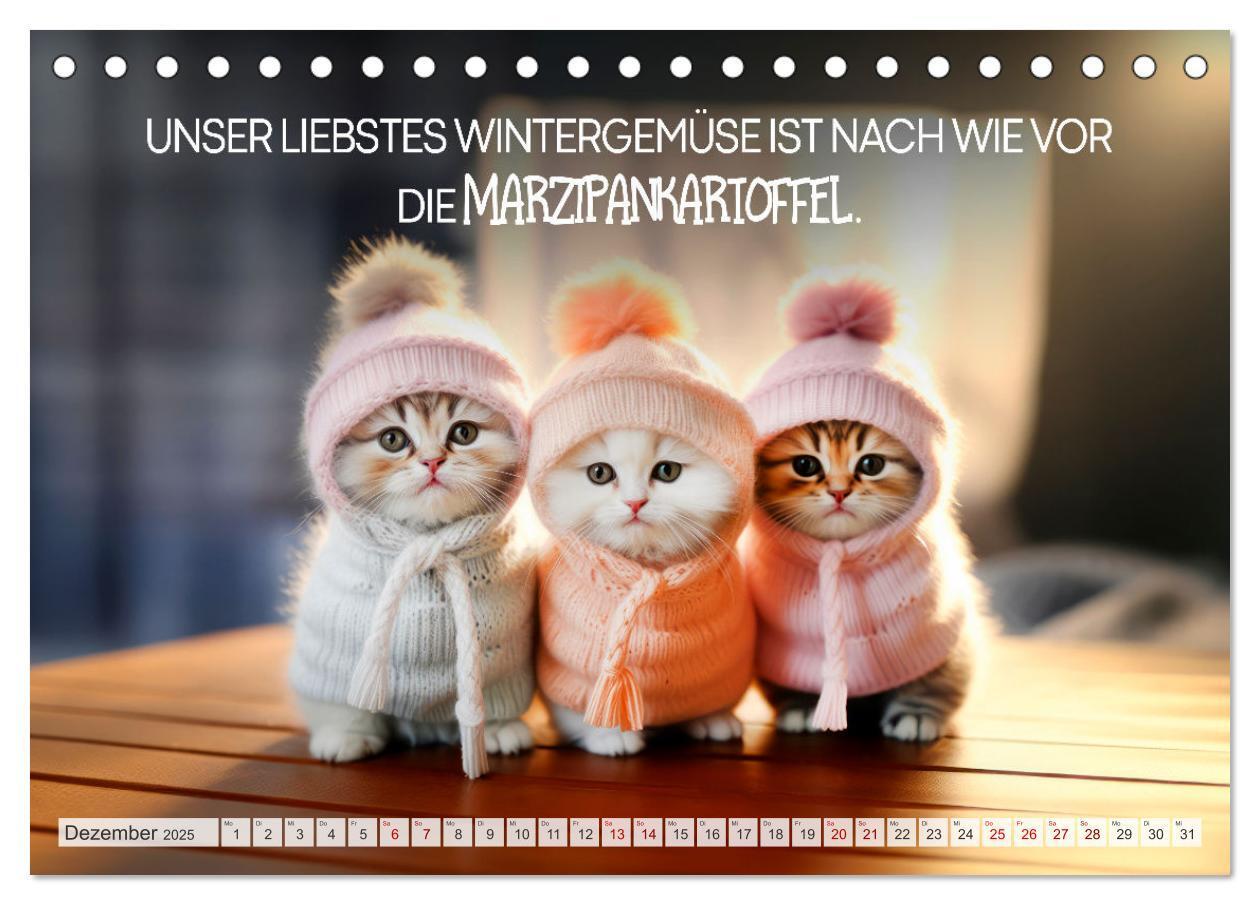 Bild: 9783383772047 | KATZEN-IRONIE Lach mal wieder (Tischkalender 2025 DIN A5 quer),...