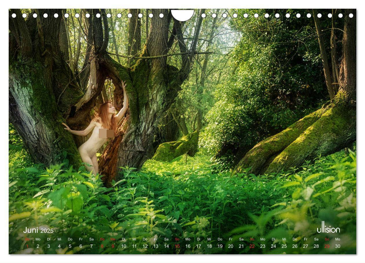 Bild: 9783435337989 | Lieblingsbäume - eins mit der Natur (Wandkalender 2025 DIN A4...