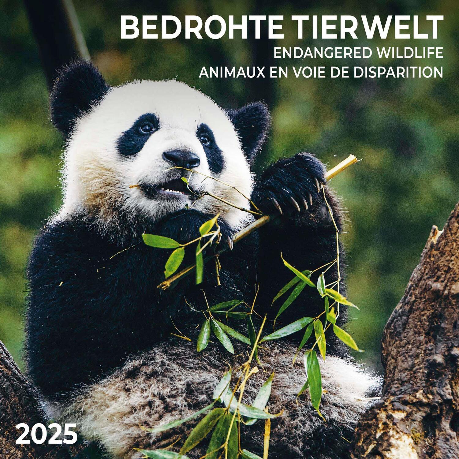 Cover: 9783959294775 | Bedrohte Tierwelt 2025 | Kalender 2025 | Kalender | Artwork Edition