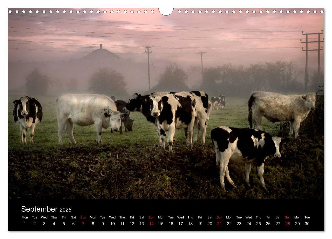 Bild: 9781325956449 | Glastonbury Tor (Wall Calendar 2025 DIN A3 landscape), CALVENDO 12...