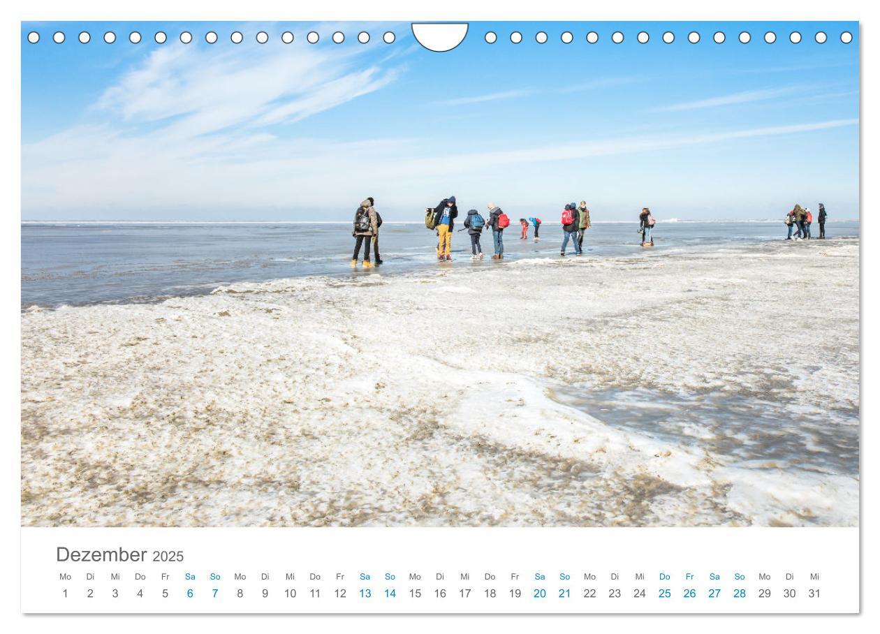 Bild: 9783435071913 | Moin Norden-Norddeich (Wandkalender 2025 DIN A4 quer), CALVENDO...