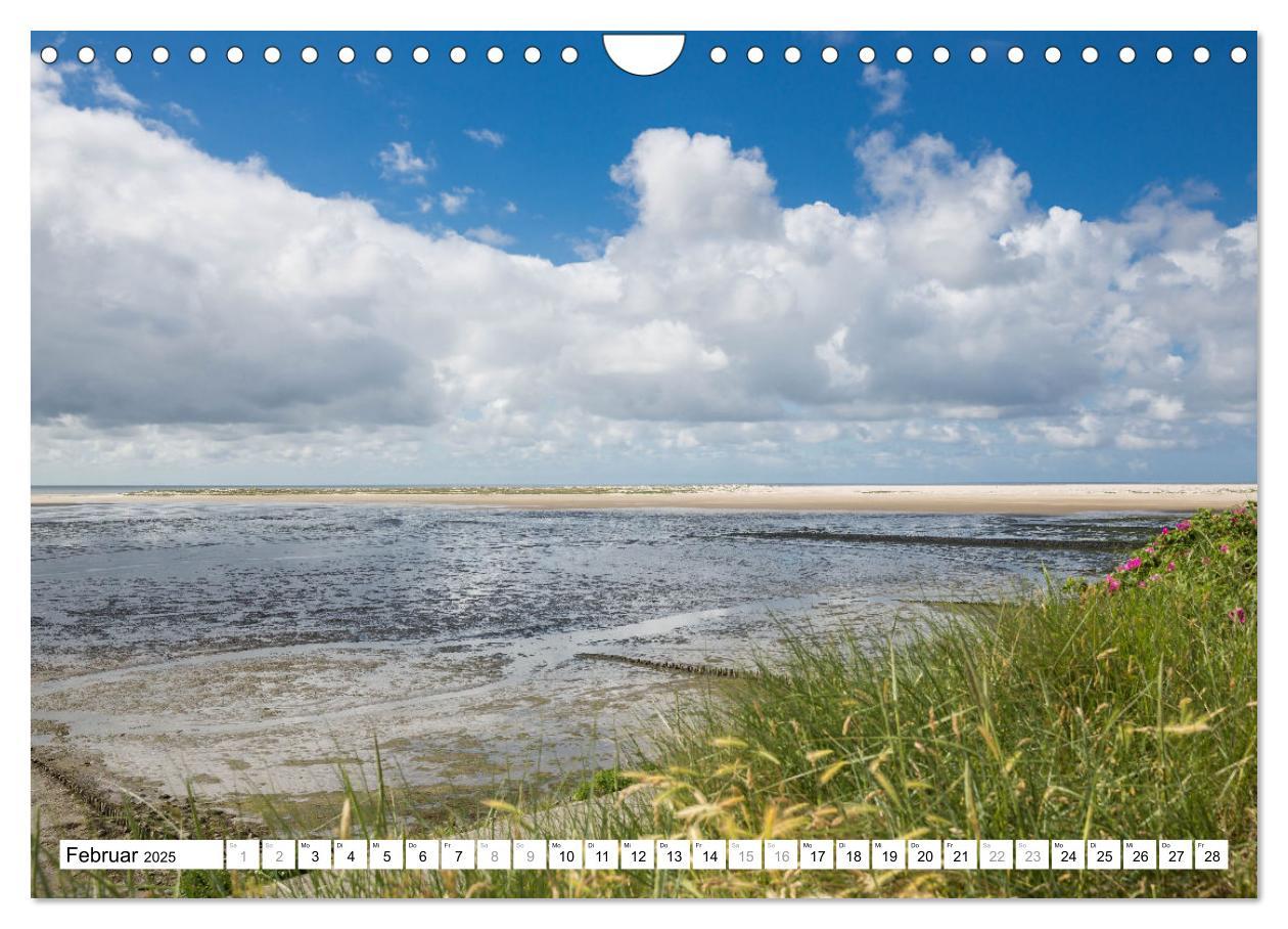 Bild: 9783383962479 | Amrum - Perle im nordfriesischen Wattenmeer (Wandkalender 2025 DIN...