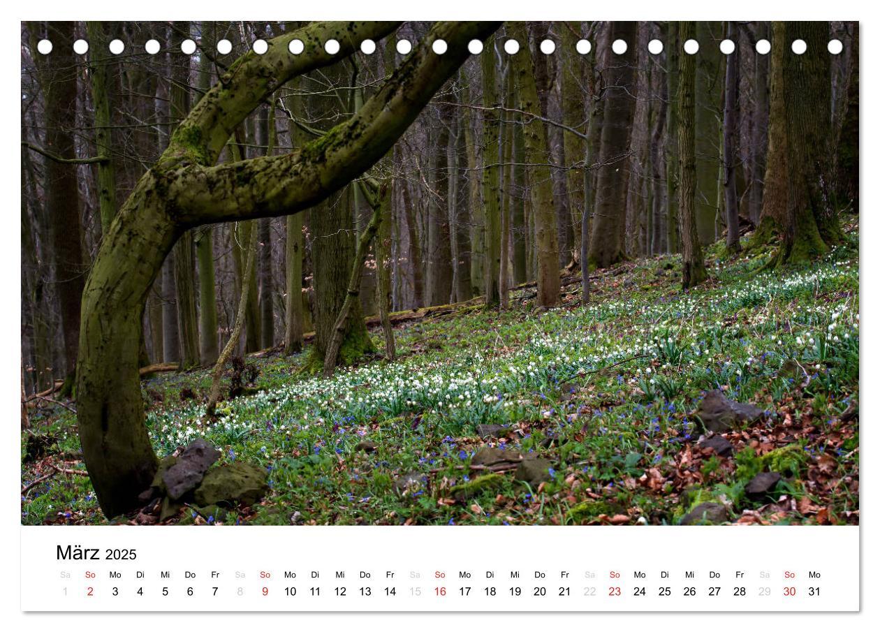 Bild: 9783435498673 | Naturerlebnis im Biosphärenreservat Rhön (Tischkalender 2025 DIN A5...