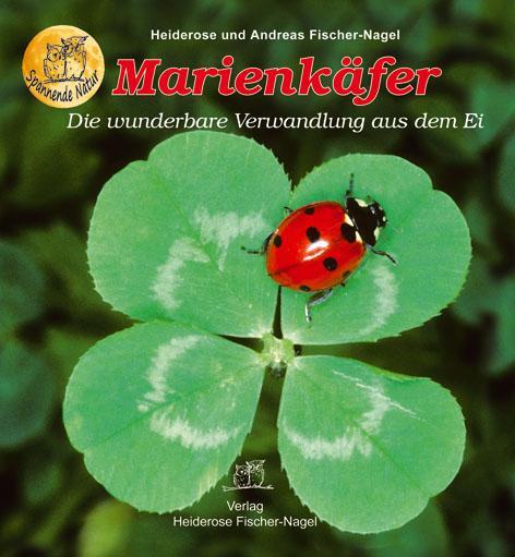 Cover: 9783930038459 | Marienkäfer | Die wunderbare Verwandlung aus dem Ei | Buch | 46 S.