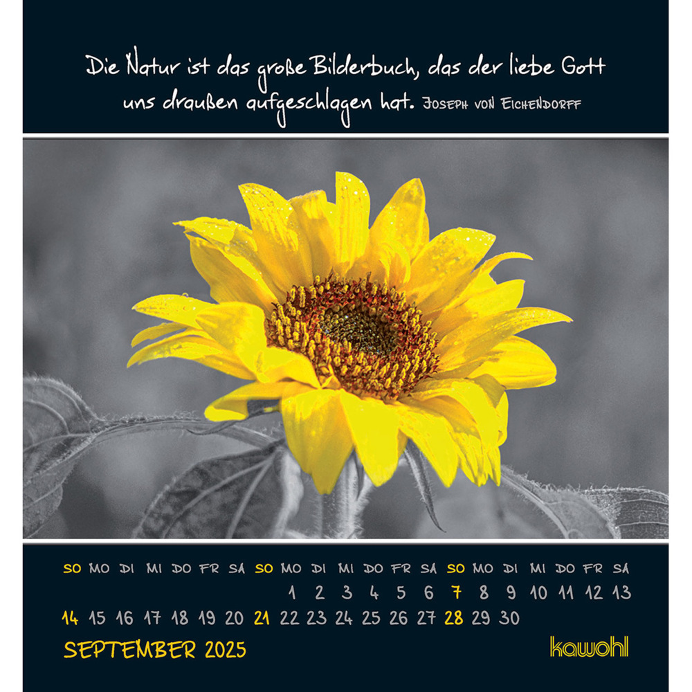 Bild: 9783754881156 | Freu dich an kleinen Wundern 2025 | Kalender | 14 S. | Deutsch | 2025