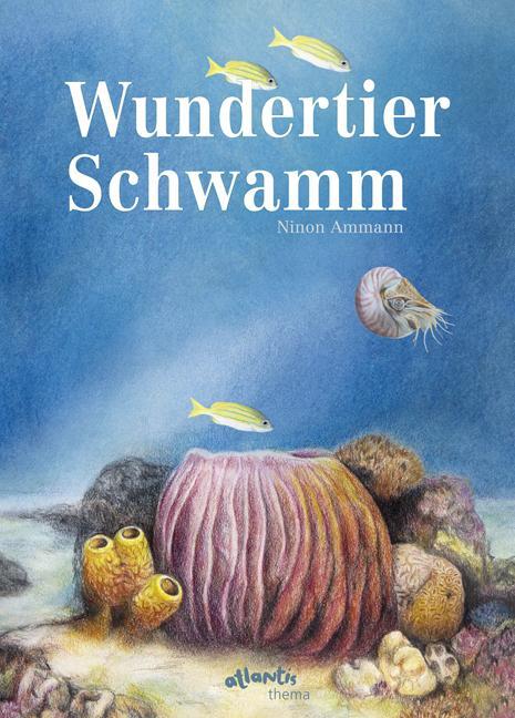 Cover: 9783715207490 | Wundertier Schwamm | Ninon Ammann | Buch | gebunden | 40 S. | Deutsch