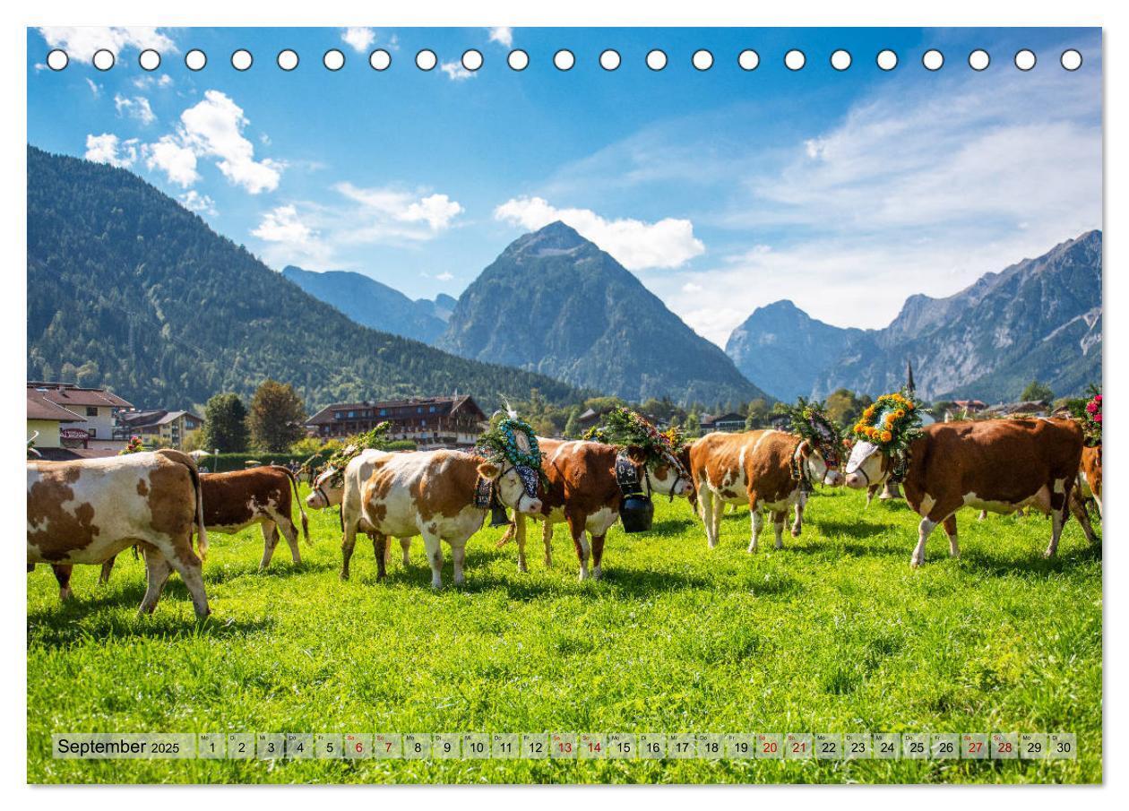 Bild: 9783435227136 | Achensee - im Herzen der Tiroler Alpen (Tischkalender 2025 DIN A5...