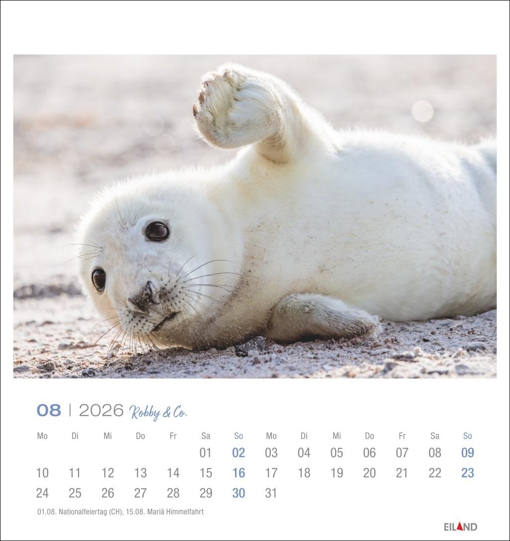 Bild: 9783964024107 | Robby &amp; Co. Postkartenkalender 2026 | Kalender | Spiralbindung | 13 S.