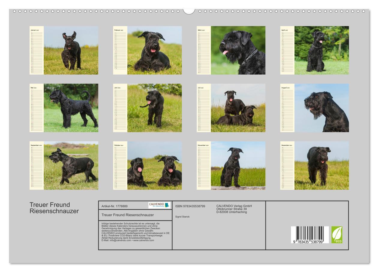 Bild: 9783435538799 | Treuer Freund Riesenschnauzer (hochwertiger Premium Wandkalender...