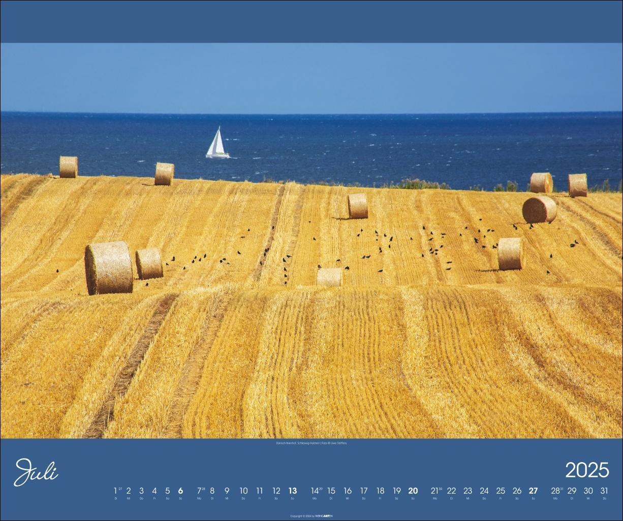 Bild: 9783839900680 | Ostsee Kalender 2025 | Kalender | Spiralbindung | 14 S. | Deutsch