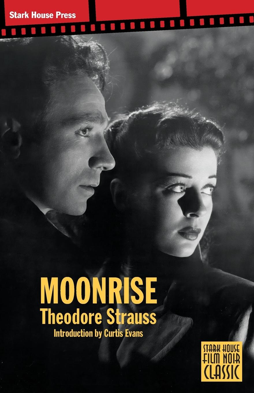 Cover: 9798886011050 | Moonrise | Theodore Strauss | Taschenbuch | Englisch | 2024