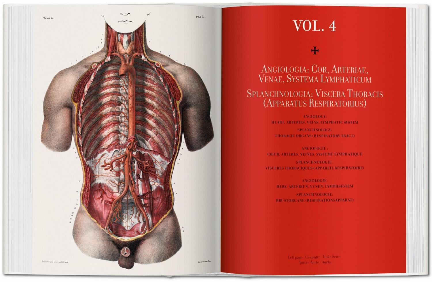 Bild: 9783836556620 | Jean Marc Bourgery. Atlas of Human Anatomy and Surgery | Minor (u. a.)