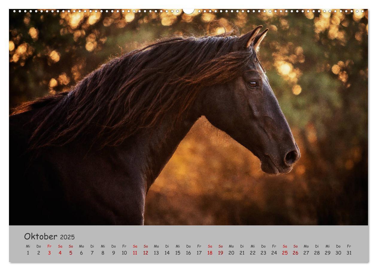 Bild: 9783435336357 | Spiegel deiner Seele (hochwertiger Premium Wandkalender 2025 DIN A2...