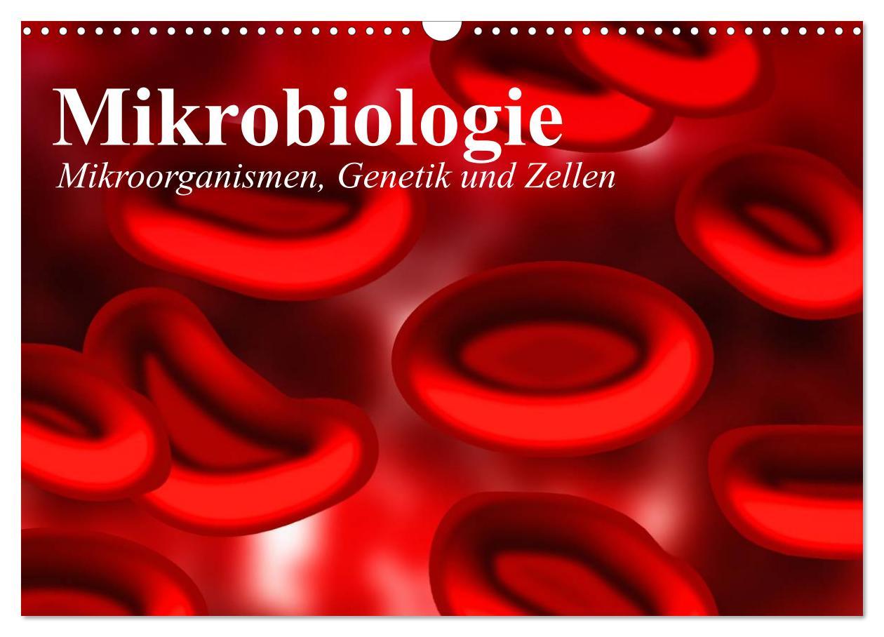 Cover: 9783435483853 | Mikrobiologie. Mikroorganismen, Genetik und Zellen (Wandkalender...