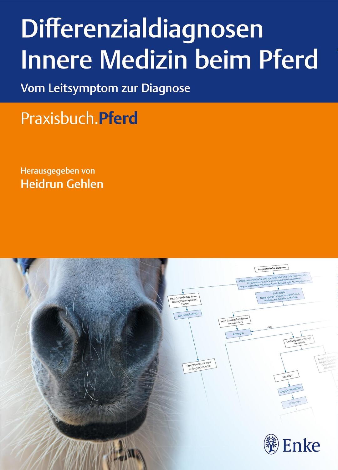 Cover: 9783132212213 | Differenzialdiagnosen Innere Medizin beim Pferd | Heidrun Gehlen