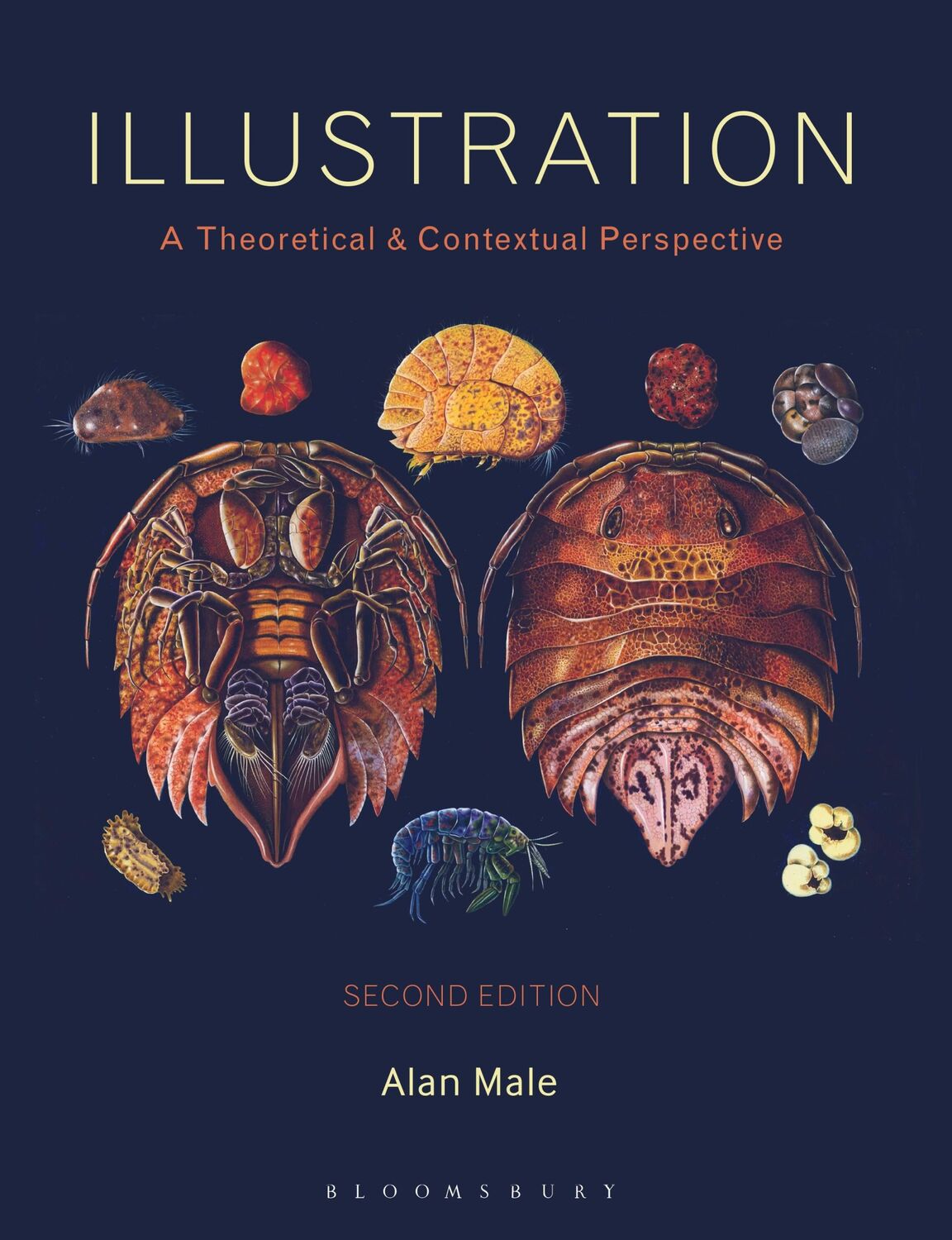 Cover: 9781474263023 | Illustration | A Theoretical and Contextual Perspective | Alan Male