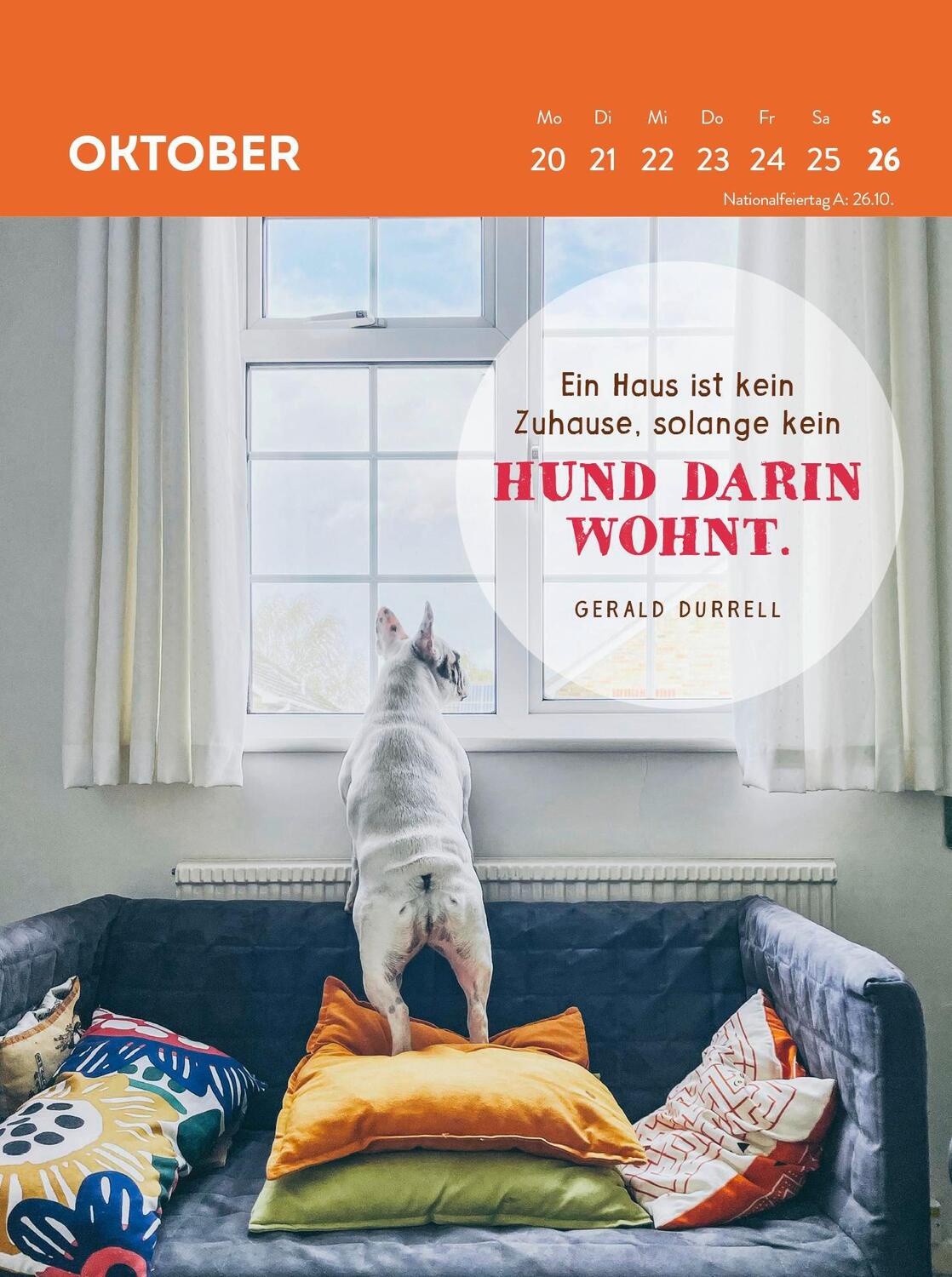 Bild: 4036442012123 | Wochenkalender 2025: Hunde sind die besten Freunde | Groh Verlag