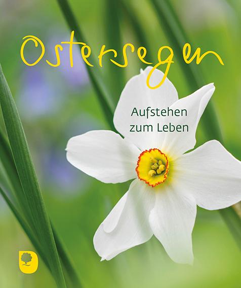 Cover: 9783987000911 | Ostersegen | Aufstehen zum Leben | Broschüre | 16 S. | Deutsch | 2024