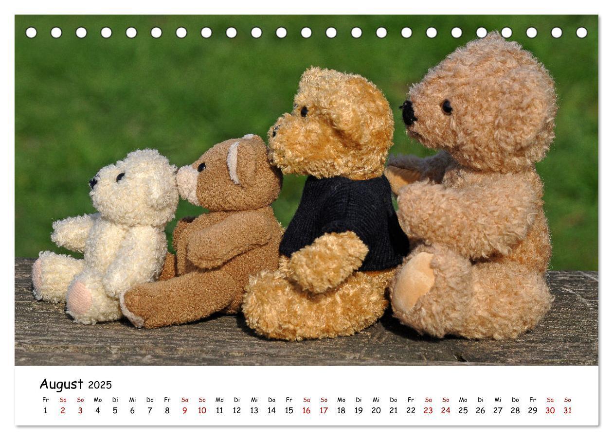 Bild: 9783383964459 | Allerliebste Teddybären (Tischkalender 2025 DIN A5 quer), CALVENDO...