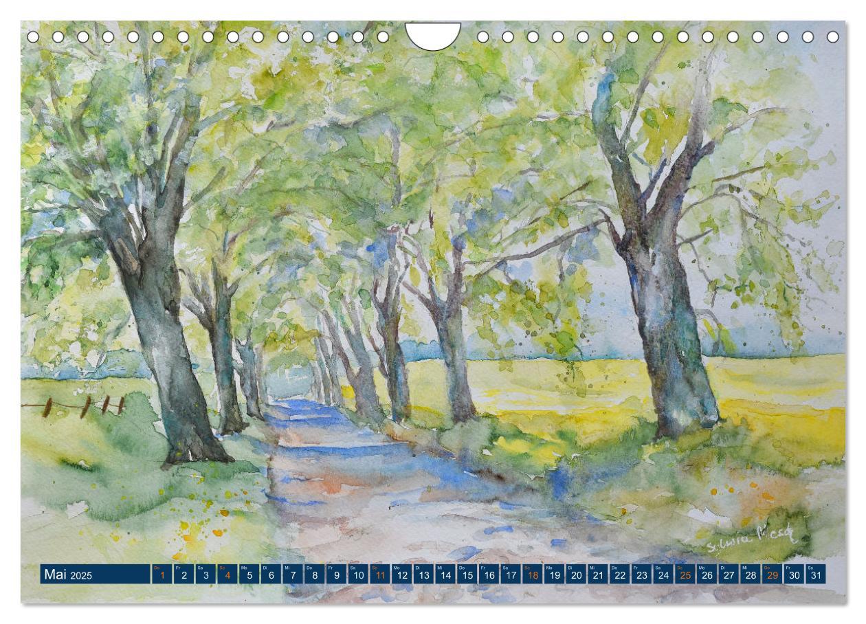 Bild: 9783435075317 | Rügen Impressionen in Aquarell (Wandkalender 2025 DIN A4 quer),...