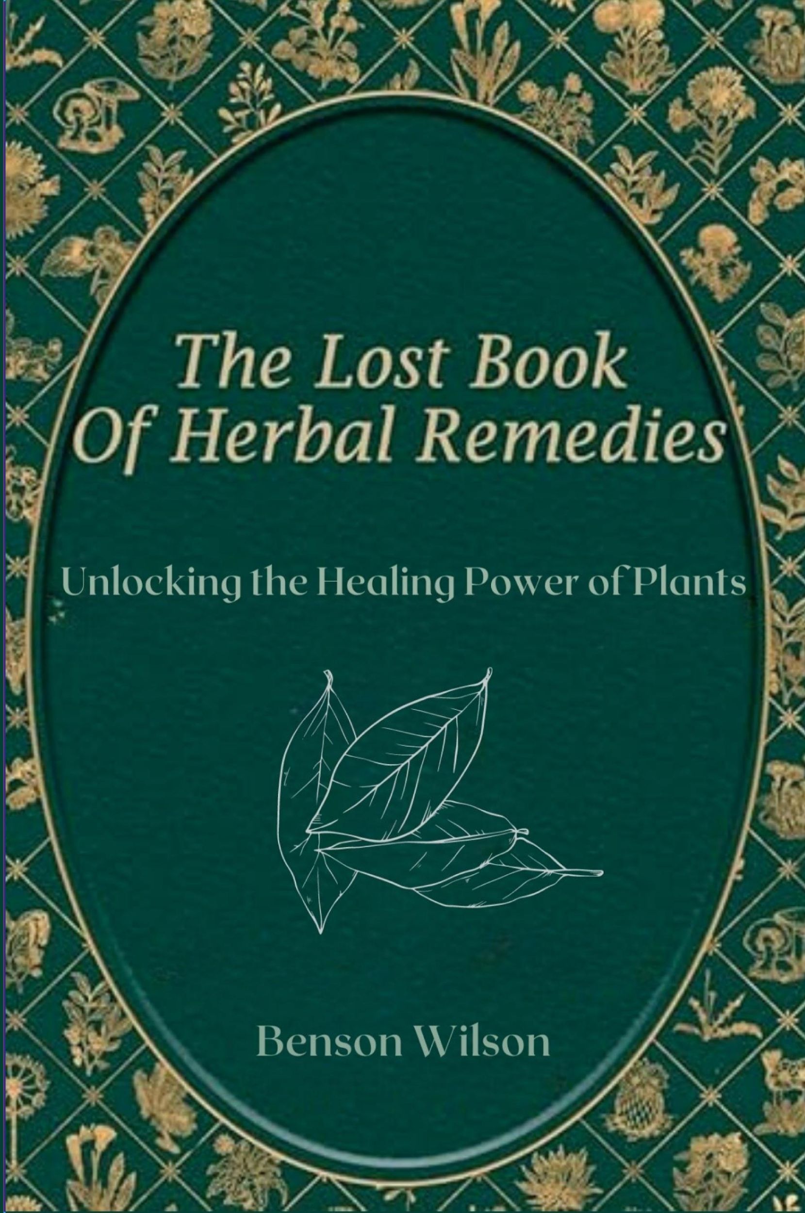 Cover: 9781300945703 | The Lost Book of Herbal Remedies | Wilson Benson | Taschenbuch | 2024