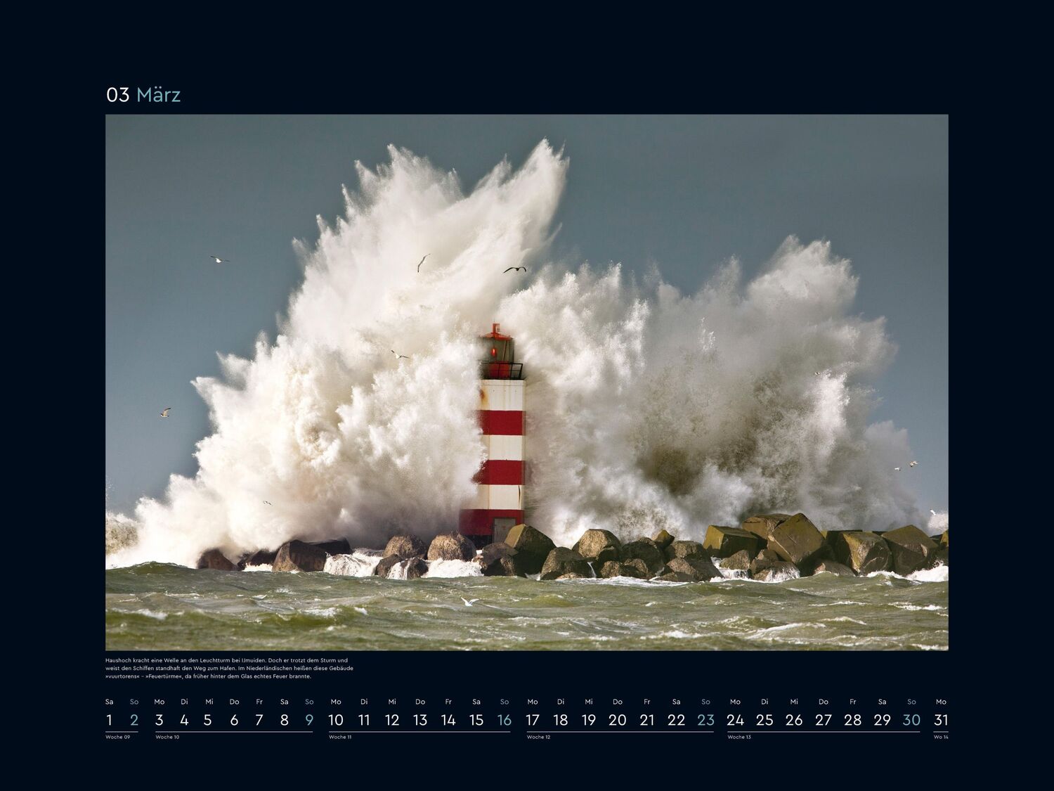 Bild: 9783965913592 | Wilde Nordsee - KUNTH Wandkalender 2025 | Kalender | 14 S. | Deutsch