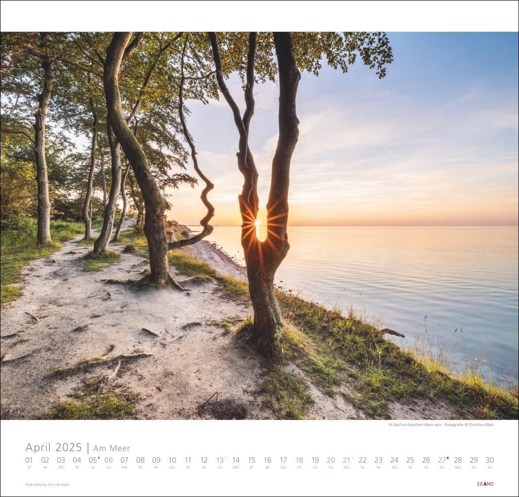 Bild: 9783964023094 | Am Meer Edition Kalender 2025 - Sand, Wind und Wellen | Hans Jessel