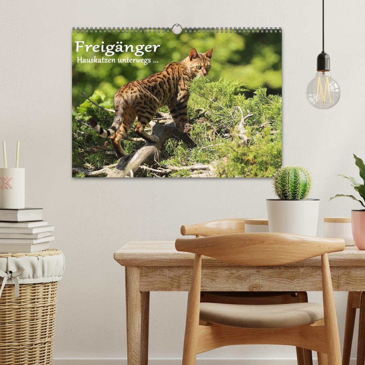 Bild: 9783435537532 | Freigänger - Hauskatzen unterwegs (Wandkalender 2025 DIN A3 quer),...