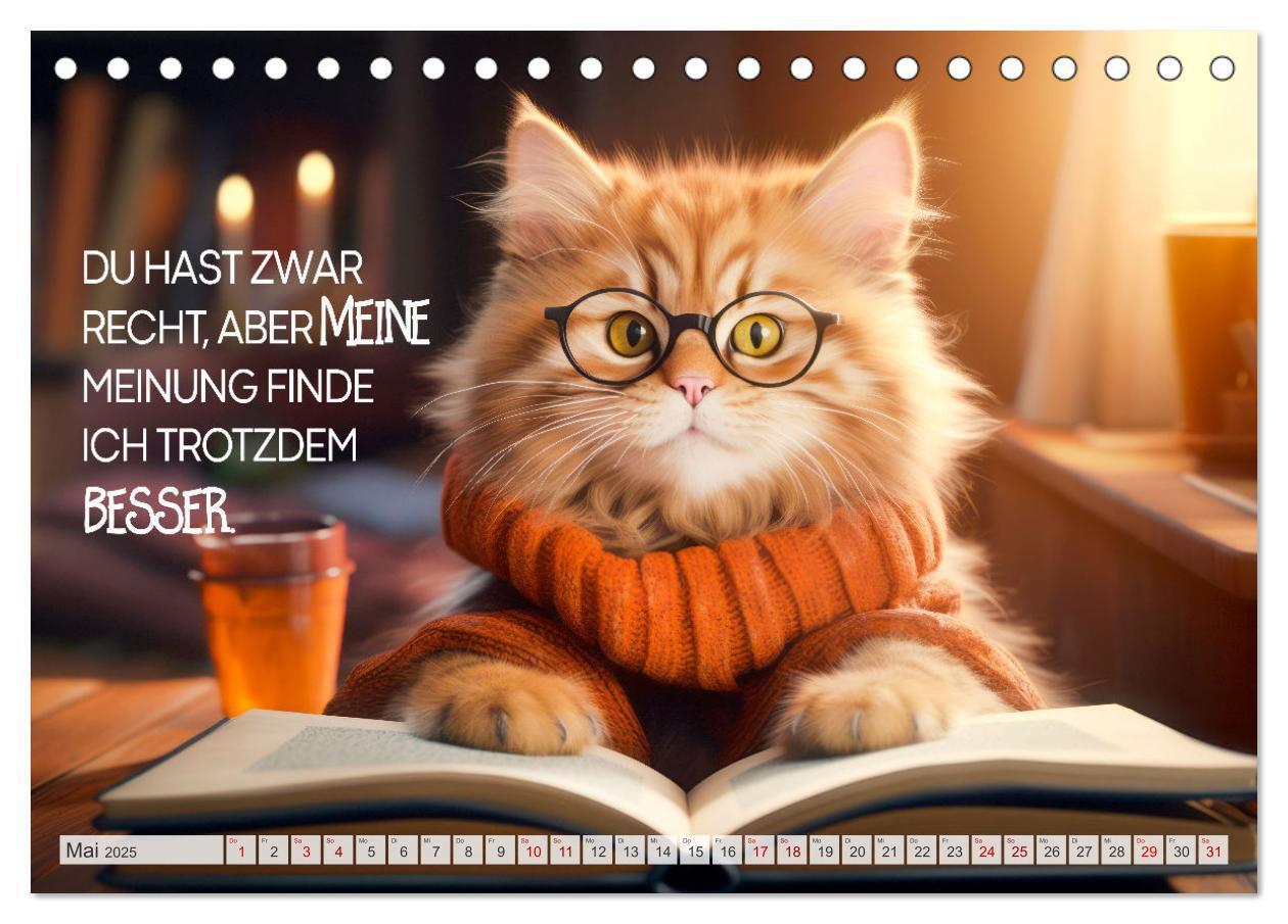 Bild: 9783383772047 | KATZEN-IRONIE Lach mal wieder (Tischkalender 2025 DIN A5 quer),...