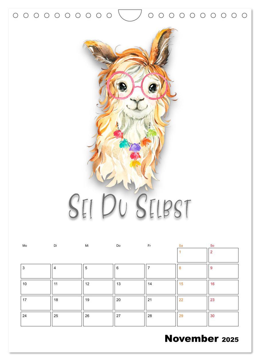 Bild: 9783435904150 | Bleib cool - Gute-Laune-Kalender (Wandkalender 2025 DIN A4 hoch),...