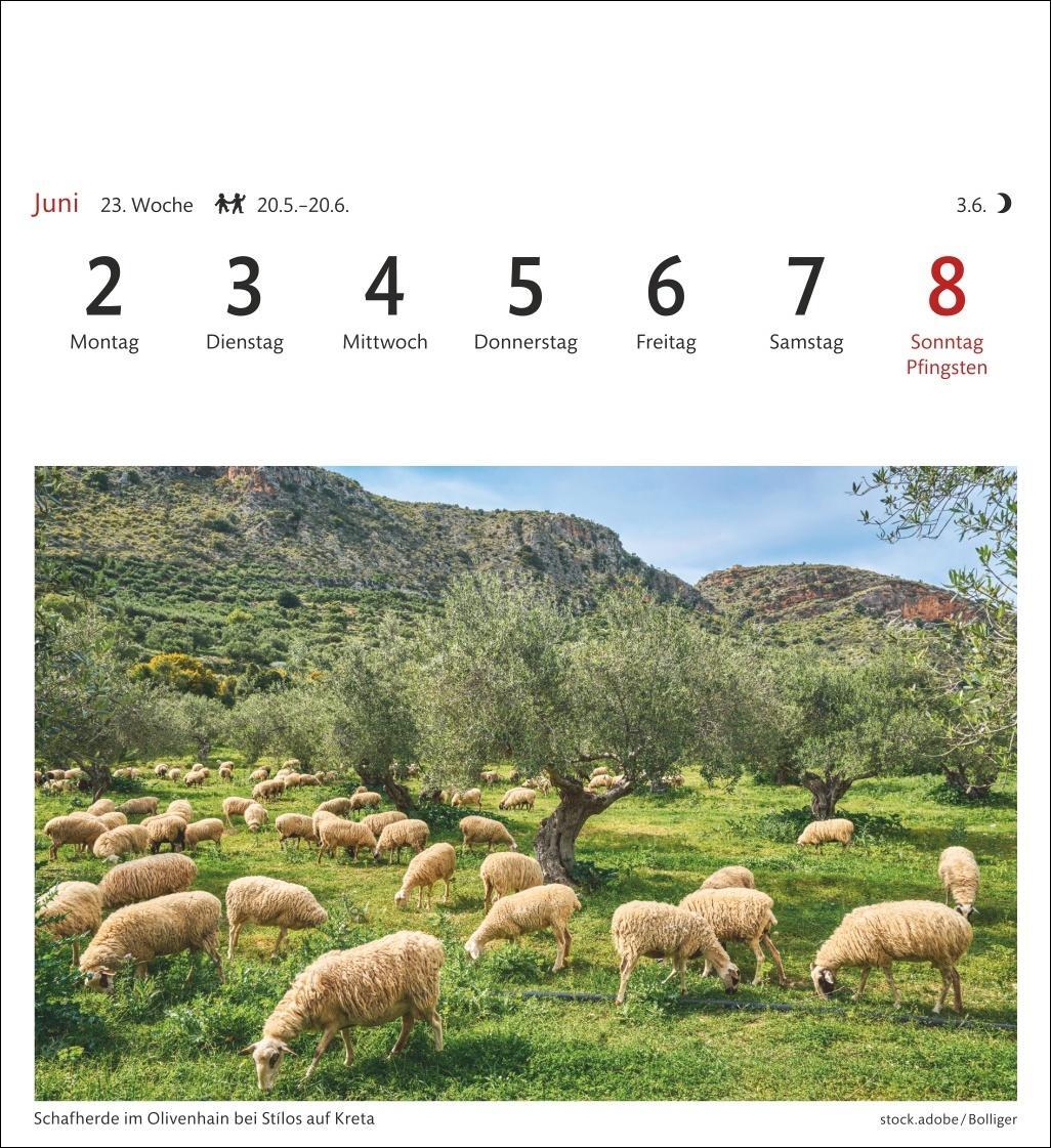 Bild: 9783840033360 | Griechische Inseln Sehnsuchtskalender 2025 - Wochenkalender mit 53...