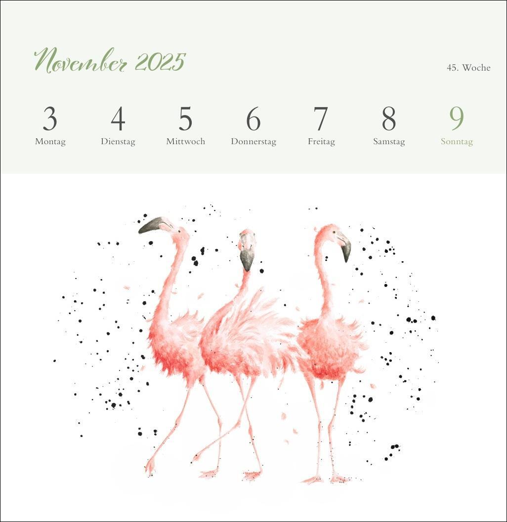 Bild: 9783756408641 | Hannah Dale: Happy Animals Premium-Postkartenkalender 2025 | Kalender