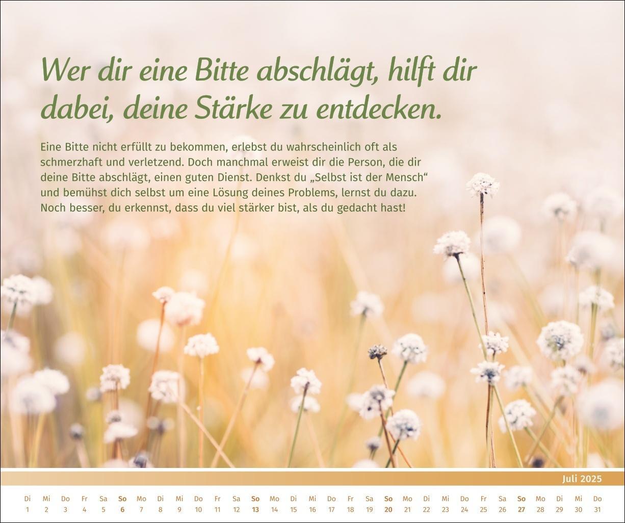 Bild: 9783840196089 | PAL - Der Lebensfreude-Inspirationen-Kalender 2025 | Pal | Kalender