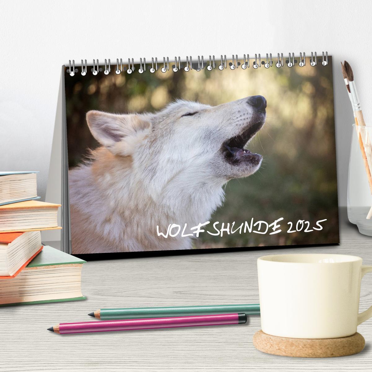 Bild: 9783435410262 | Wolfshunde 2025 (Tischkalender 2025 DIN A5 quer), CALVENDO...