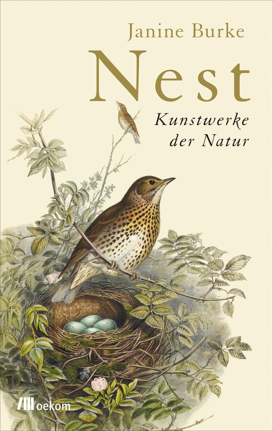 Cover: 9783960060116 | Nest | Kunstwerke der Natur | Janine Burke | Buch | 192 S. | Deutsch