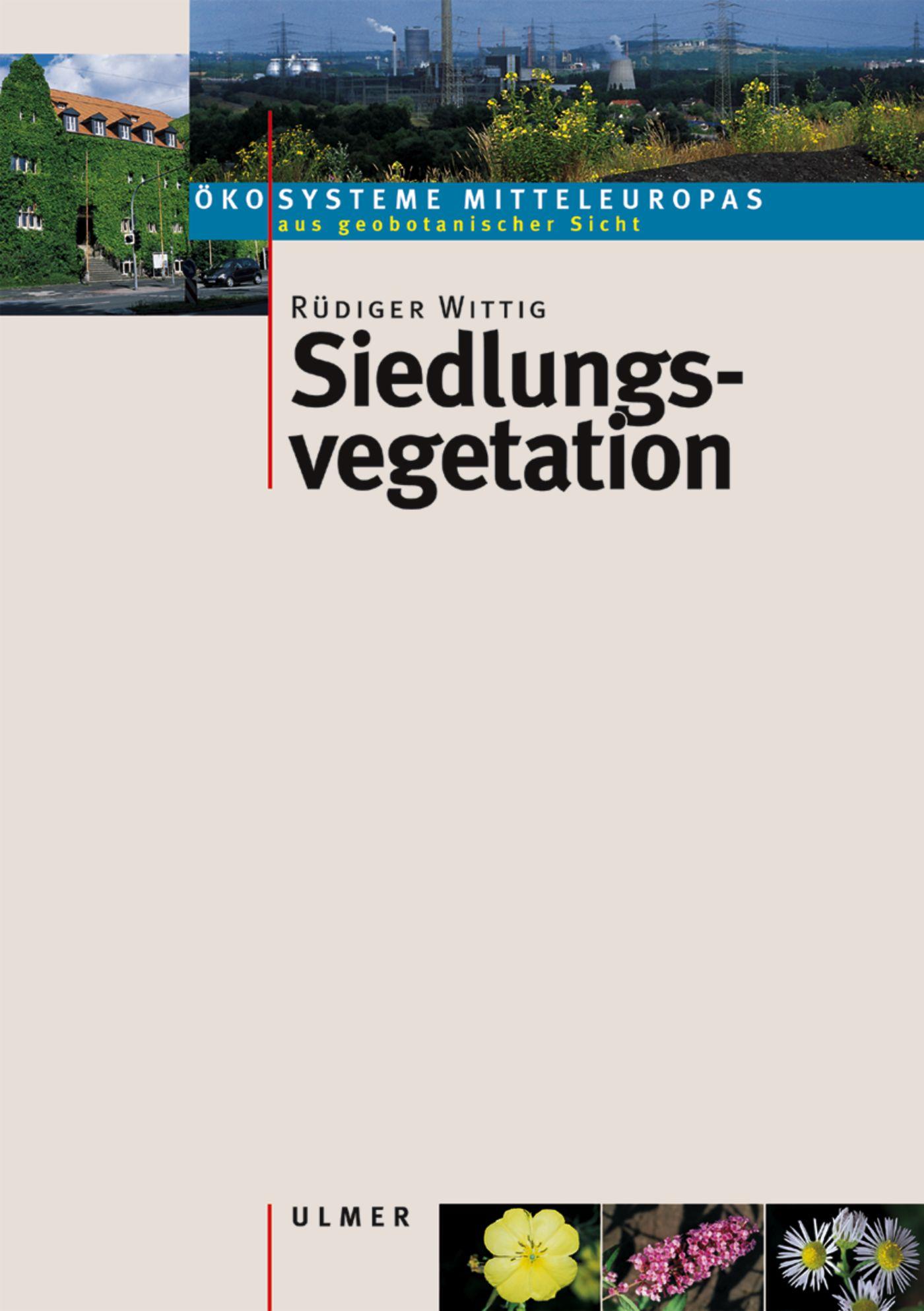 Cover: 9783800156429 | Siedlungsvegetation | Rüdiger Wittig | Taschenbuch | 252 S. | Deutsch