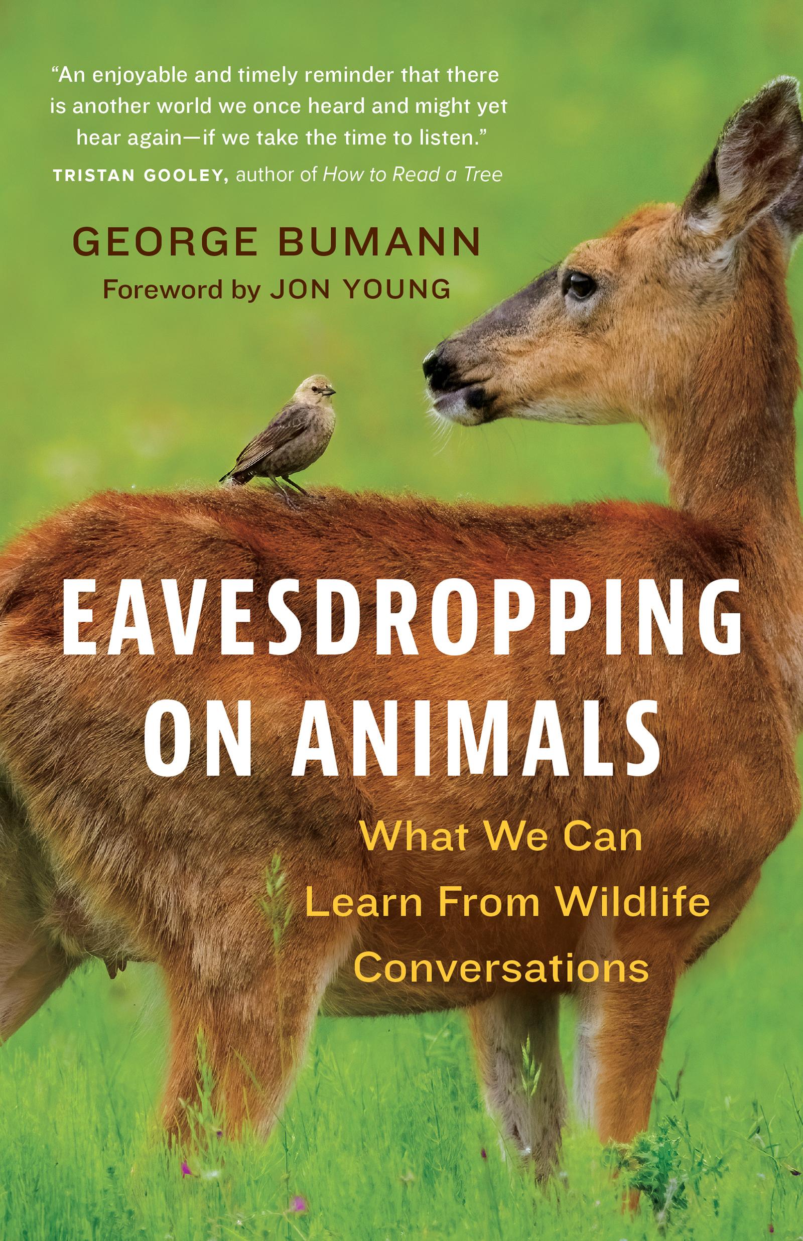 Cover: 9781778400209 | Eavesdropping on Animals | George Bumann | Buch | Englisch | 2024