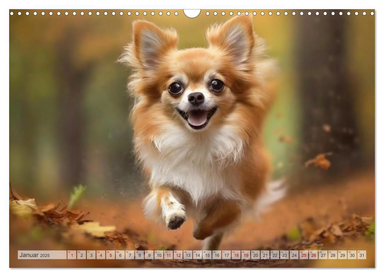 Bild: 9783383811500 | Chihuahuas - Kleine Hunde - große Temperamentbündel (Wandkalender...