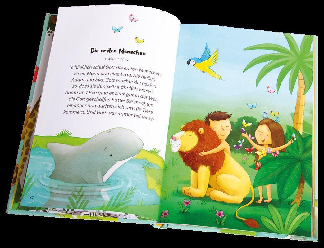 Bild: 9783417289930 | Die bunte Bibel für Kinder | Andrew Newton | Buch | 96 S. | Deutsch