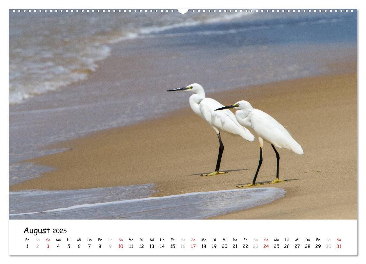 Bild: 9783435525461 | Südindien - Kerala (hochwertiger Premium Wandkalender 2025 DIN A2...