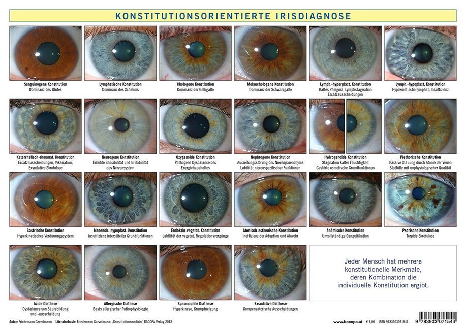 Cover: 9783903071544 | Konstitutionsorientierte Irisdiagnose, Tafel | Friedemann Garvelmann