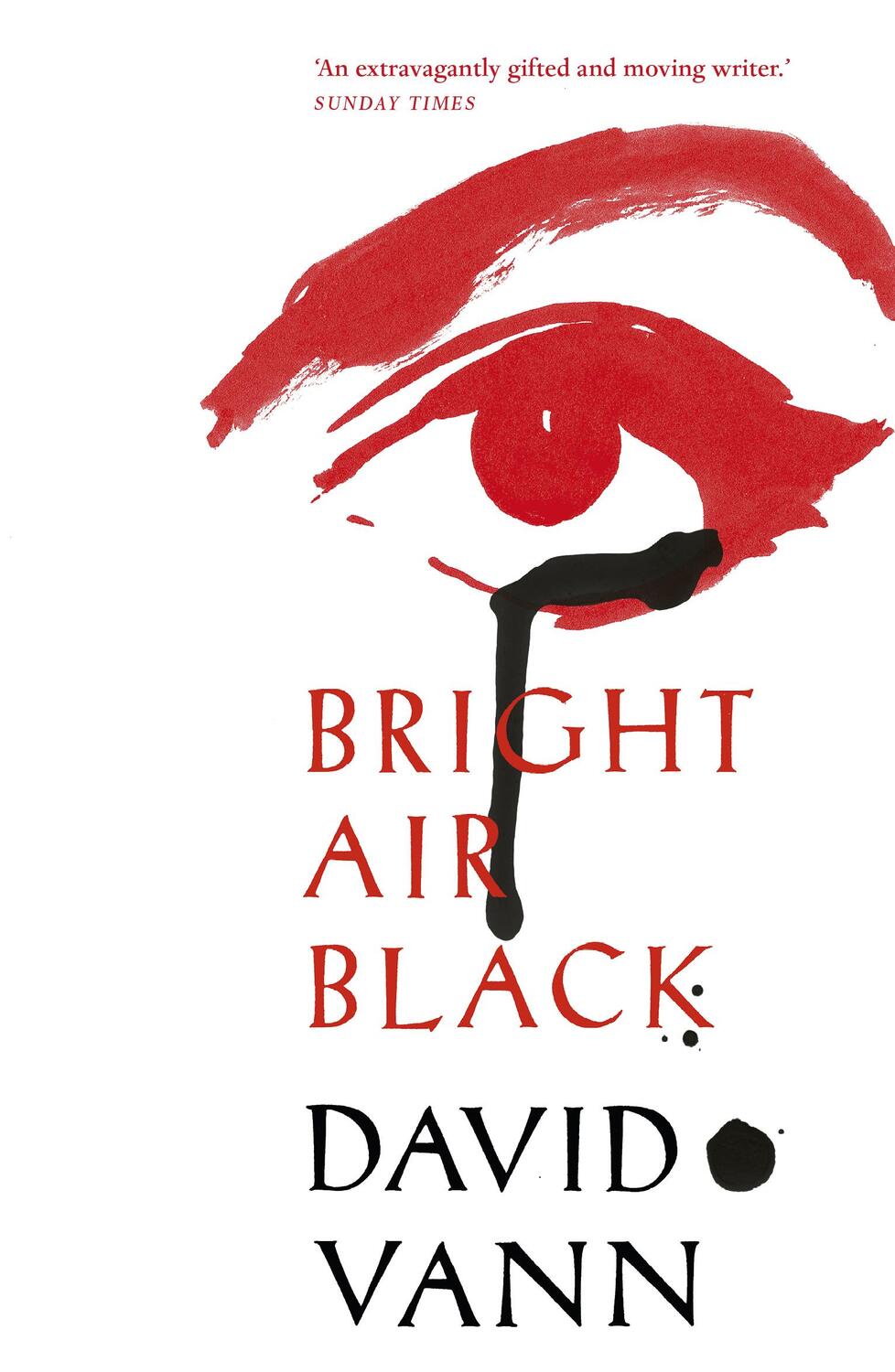 Cover: 9780099592266 | Bright Air Black | David Vann | Taschenbuch | Kartoniert / Broschiert