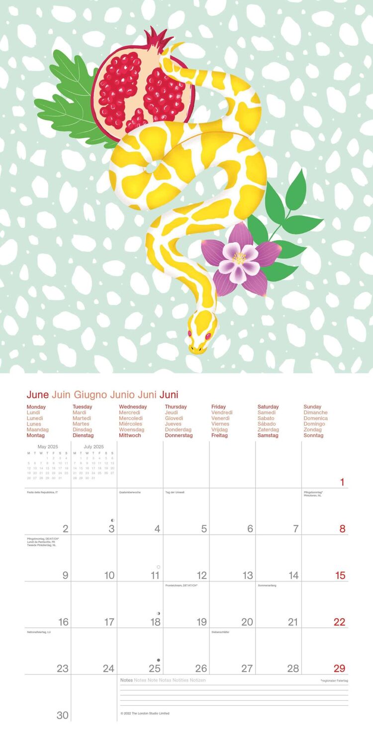 Bild: 4002725994950 | Sweet &amp; Wild 2025 - Wand-Kalender - Broschüren-Kalender - 30x30 -...