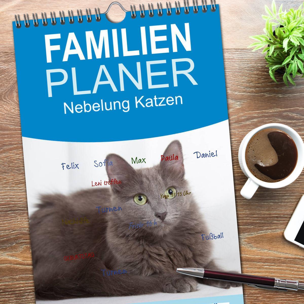 Bild: 9783457121764 | Familienplaner 2025 - Nebelung Katzen mit 5 Spalten (Wandkalender,...